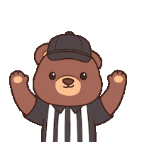 Super Bowl Win Sticker by BEARISH