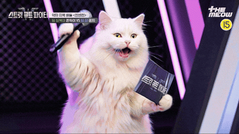 스큐파 GIF