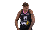 Basketball Hoops Sticker by Basket_fi