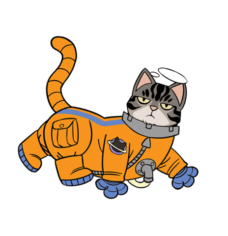 Cats Gatos Sticker