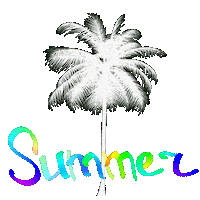 Palm Trees Summer Sticker