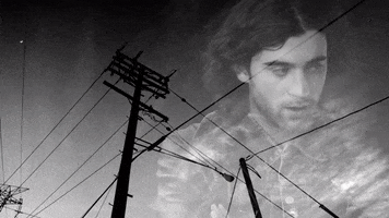 Hate Me If It Helps GIF by Alexander 23