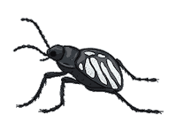 ocultoaplenavista bug bicho vaquita opv Sticker