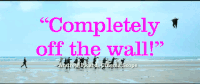 slack bay GIF by Kino Lorber