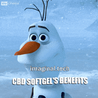 Happy Snow GIF by Imaginal Biotech