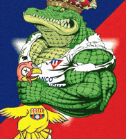 Liga De Quito Albo GIF