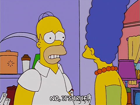 homer simpson truth GIF