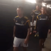 ccl GIF by LA Galaxy