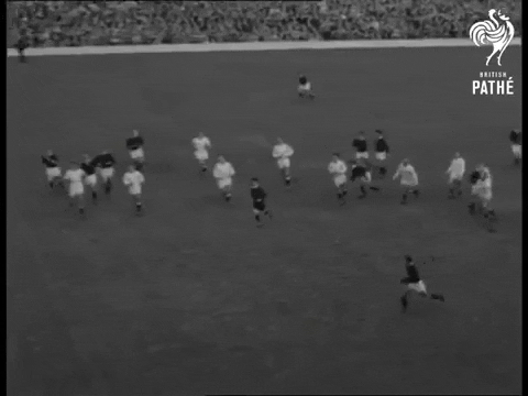 theeastterrace giphygifmaker GIF
