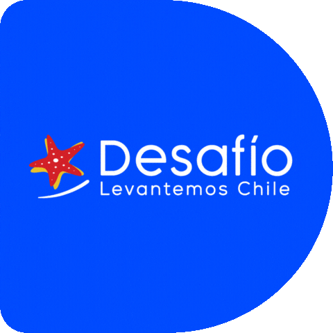 GIF by Desafío Levantemos Chile