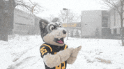 Make It Rain Snow GIF by Michigan Tech
