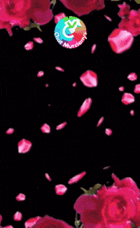 Mi Madre Flores GIF by Murcianys LLC