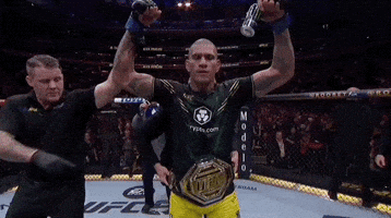 Mixed Martial Arts Sport GIF by UFC