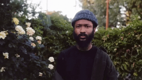 Life GIF by Lute