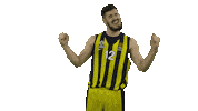 basketball Sticker by EuroLeague