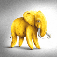Is This Real Banana GIF