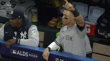 Aaron Judge Baseball GIF by MLB