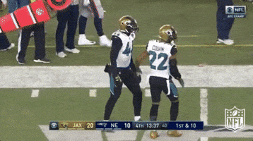 Jacksonville Jaguars Football GIF by NFL