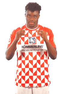 Bundesliga Mainz05 Sticker by 1. FSV Mainz 05