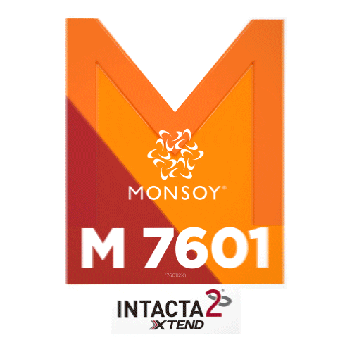 Monsoy Sticker by intactarr2pro