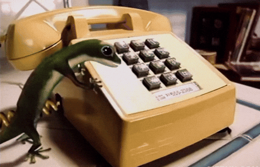 StruggleStrainAndStrength giphyupload telephone gecko pushing GIF