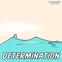 Dolphin Mindset GIF by VeeFriends