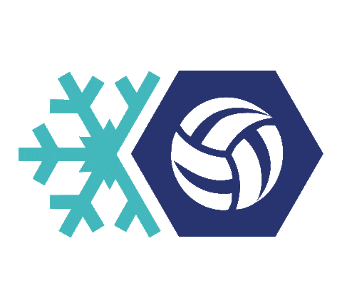 Logo Snow Sticker by Snowvolleyball