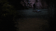 Oprah Winfrey Network GIF by David Makes Man