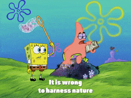 season 4 GIF by SpongeBob SquarePants