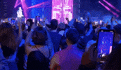 Latin Music Concert GIF by reggaetonconlagata