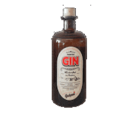 Bottle Gin Sticker by Gschpusi
