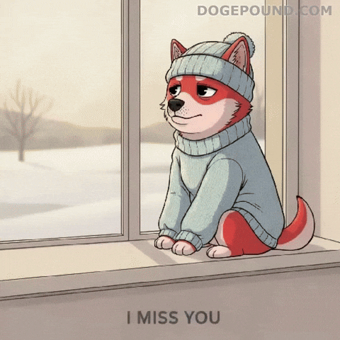 Sad Miss You GIF by Doge Pound