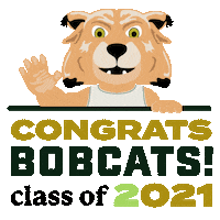 Graduation Sticker by Ohio University