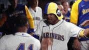 Major League Baseball Hug GIF by MLB
