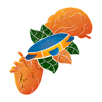 MacawBrasil agencia transparente macaw agencia de publicidade Sticker