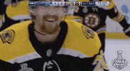 happy ice hockey GIF by NHL