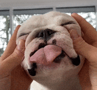 pardonthyfrench eyes relax tongue massage GIF