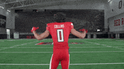 Seth Collins GIF by Texas Tech Football