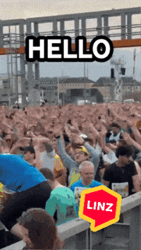Wave What GIF by Linz News