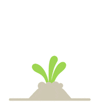 Sleekerbr Nutri Sticker by Sleeker