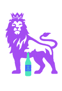 Premier League Football Sticker