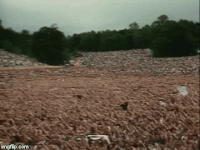 cell phones GIF