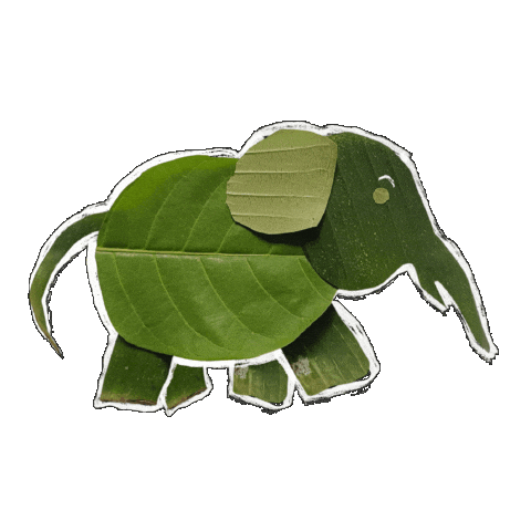Animated Sticker
