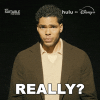 Tv Show Seriously GIF by HULU