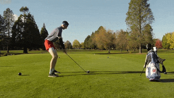 speed golf GIF by Linfield College