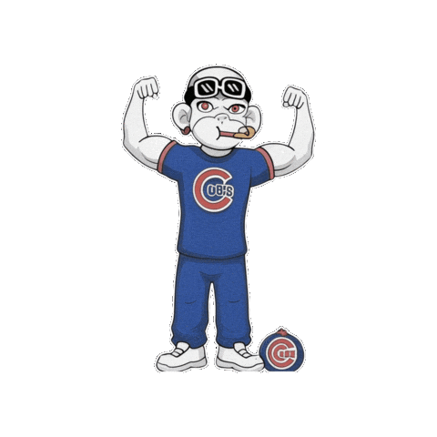 Windy City Chicago Sticker by Zhot