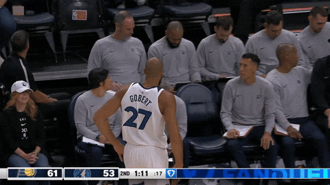 Nba Rudy GIF by Minnesota Timberwolves