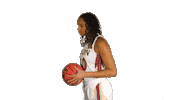 ElonPhoenixAthletics elon phoenix elon basketball Sticker