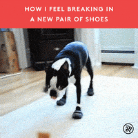 GIF by Refinery 29 GIFs