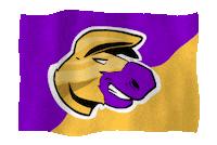 Flag Banner Sticker by Team17